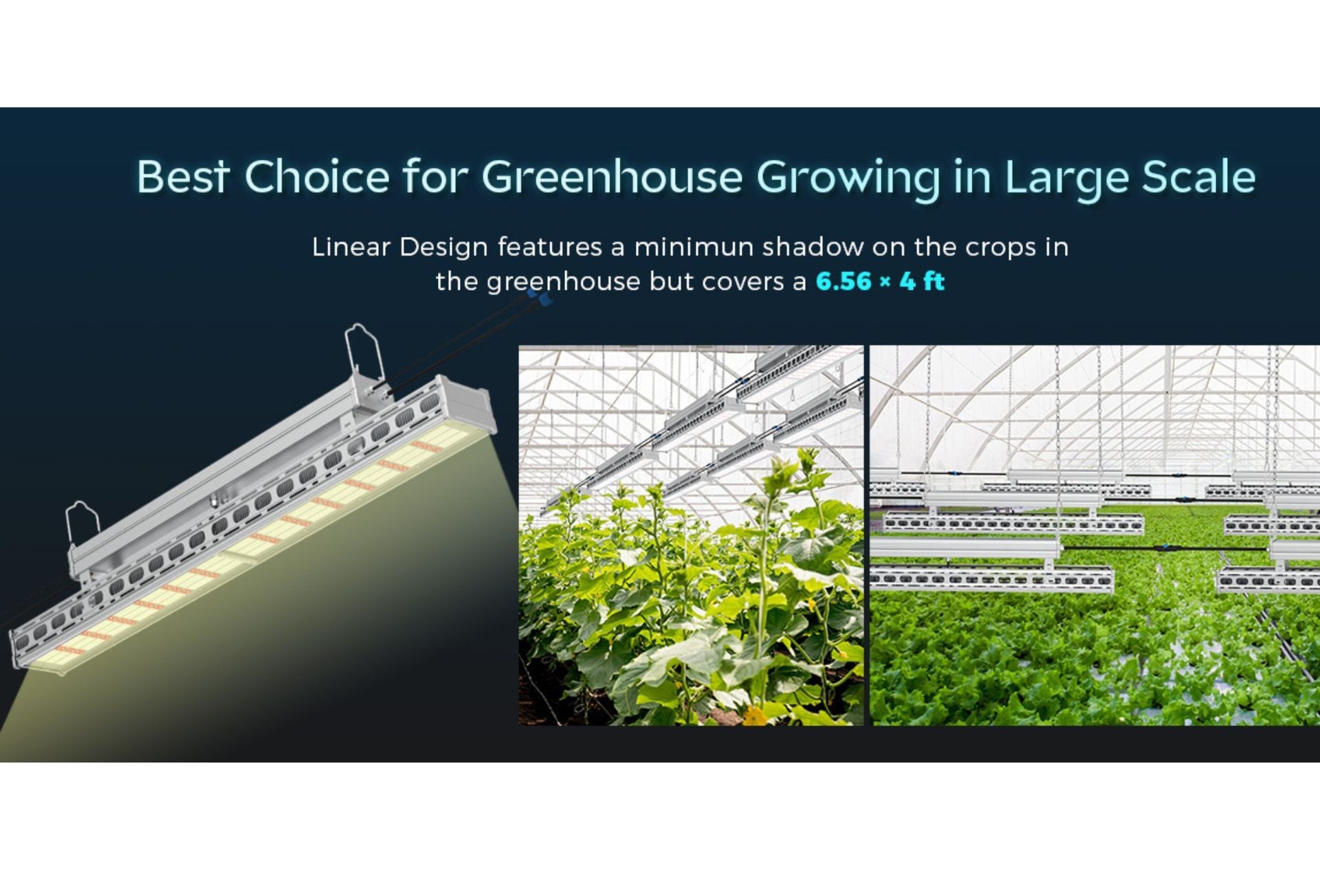 Why are LEDs the Best Lighting Option for Greenhouses?