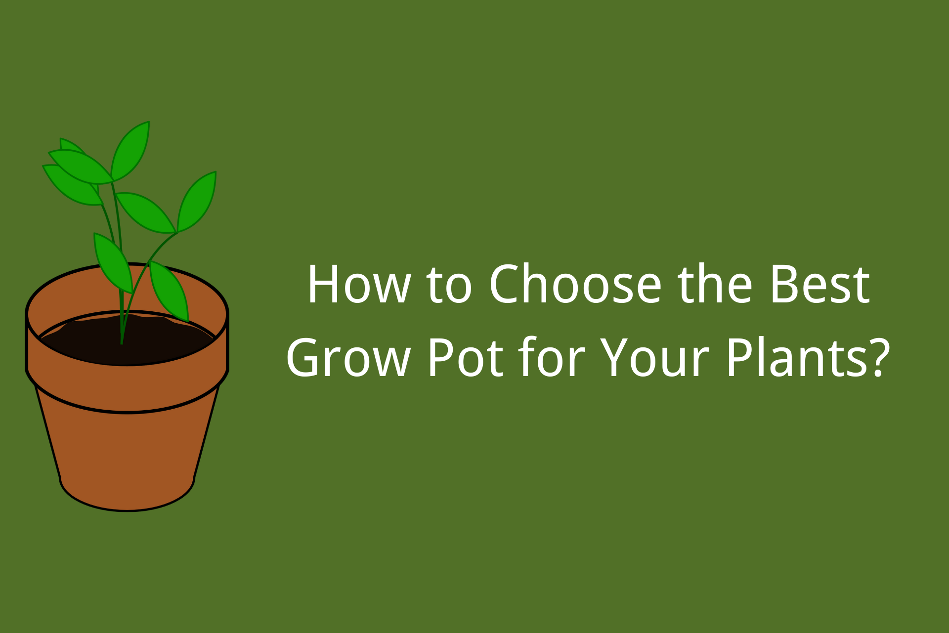 choose the best grow pot