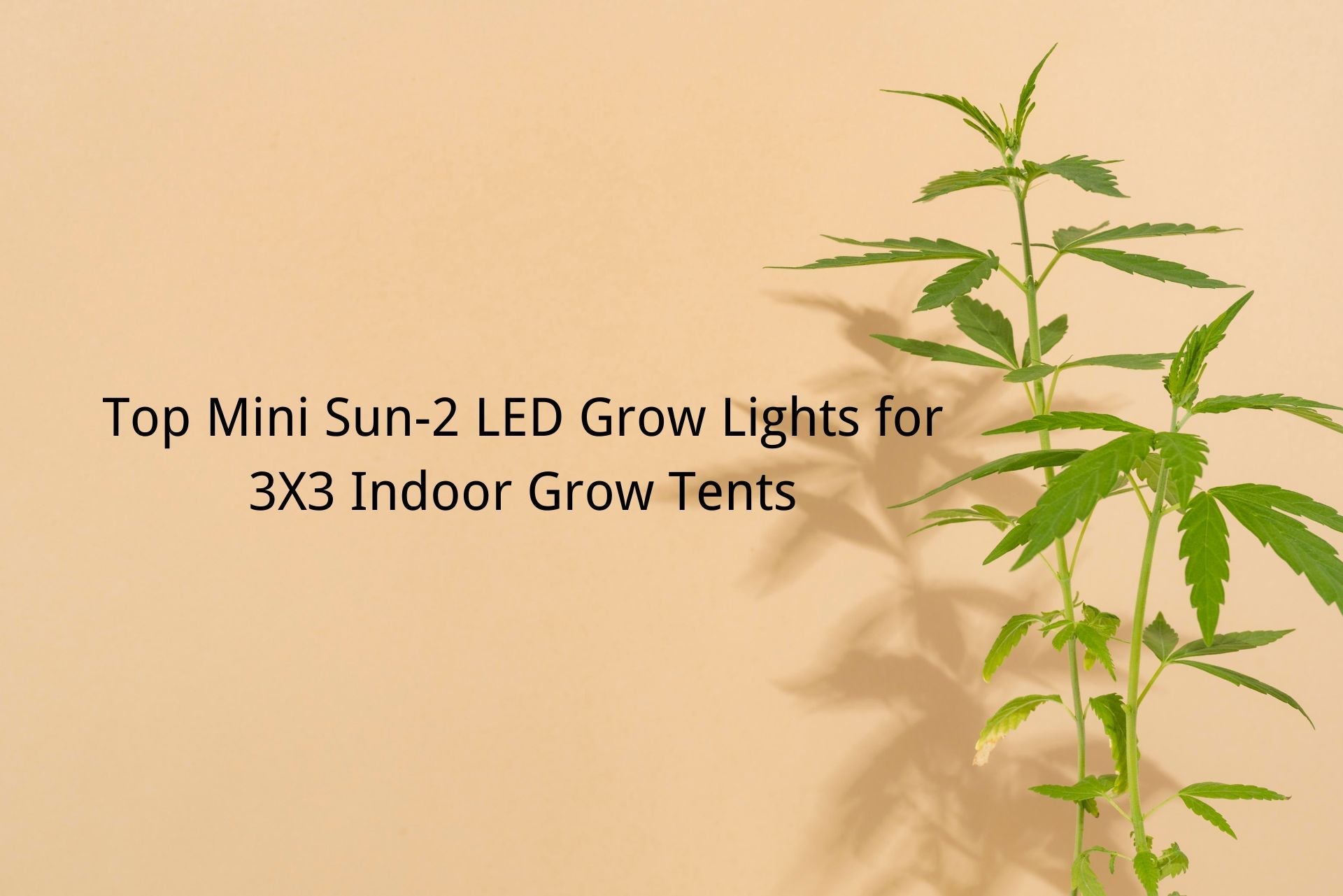 Top Mini Sun-2 LED Grow Lights for 3X3 Indoor Grow Tents