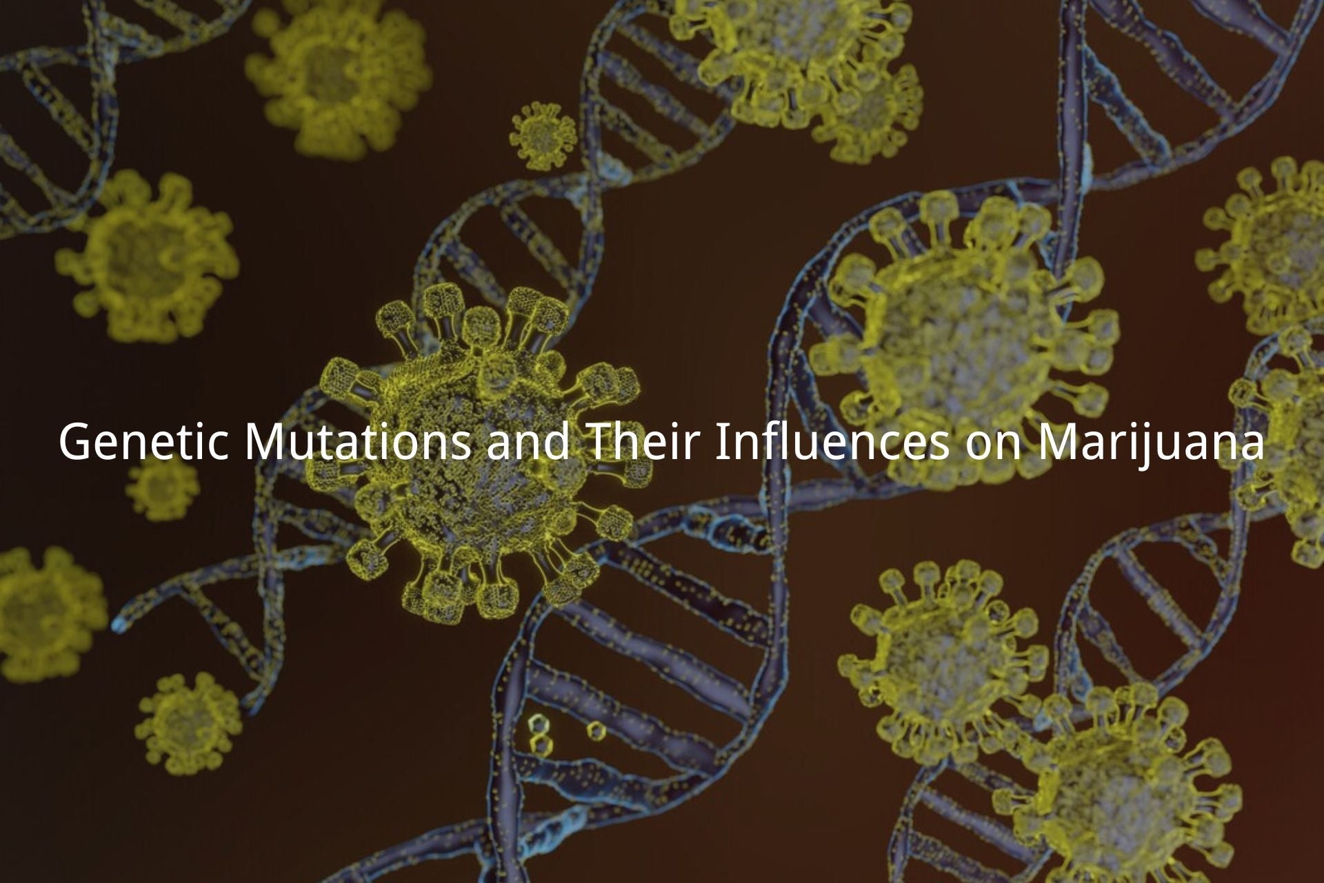 Genetic Mutations and Their Influences on Marijuana