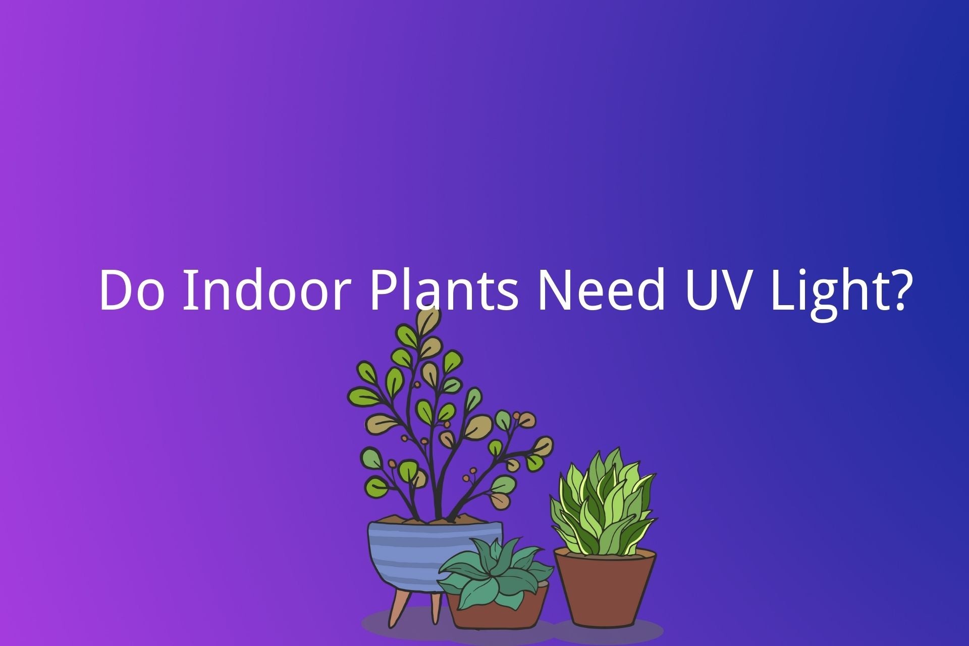 do indoor plants need uv light