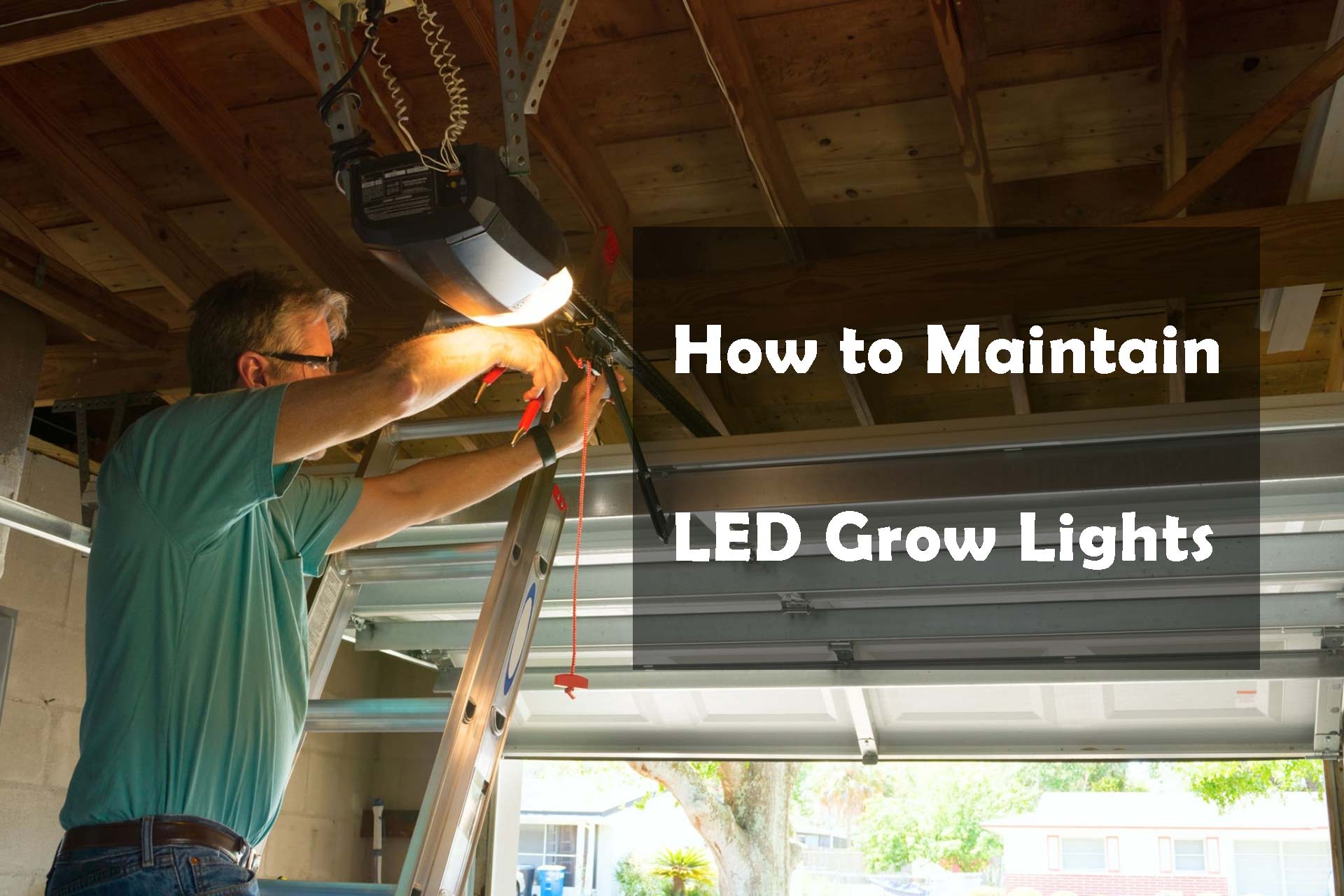How To Maintain LED Grow Lights