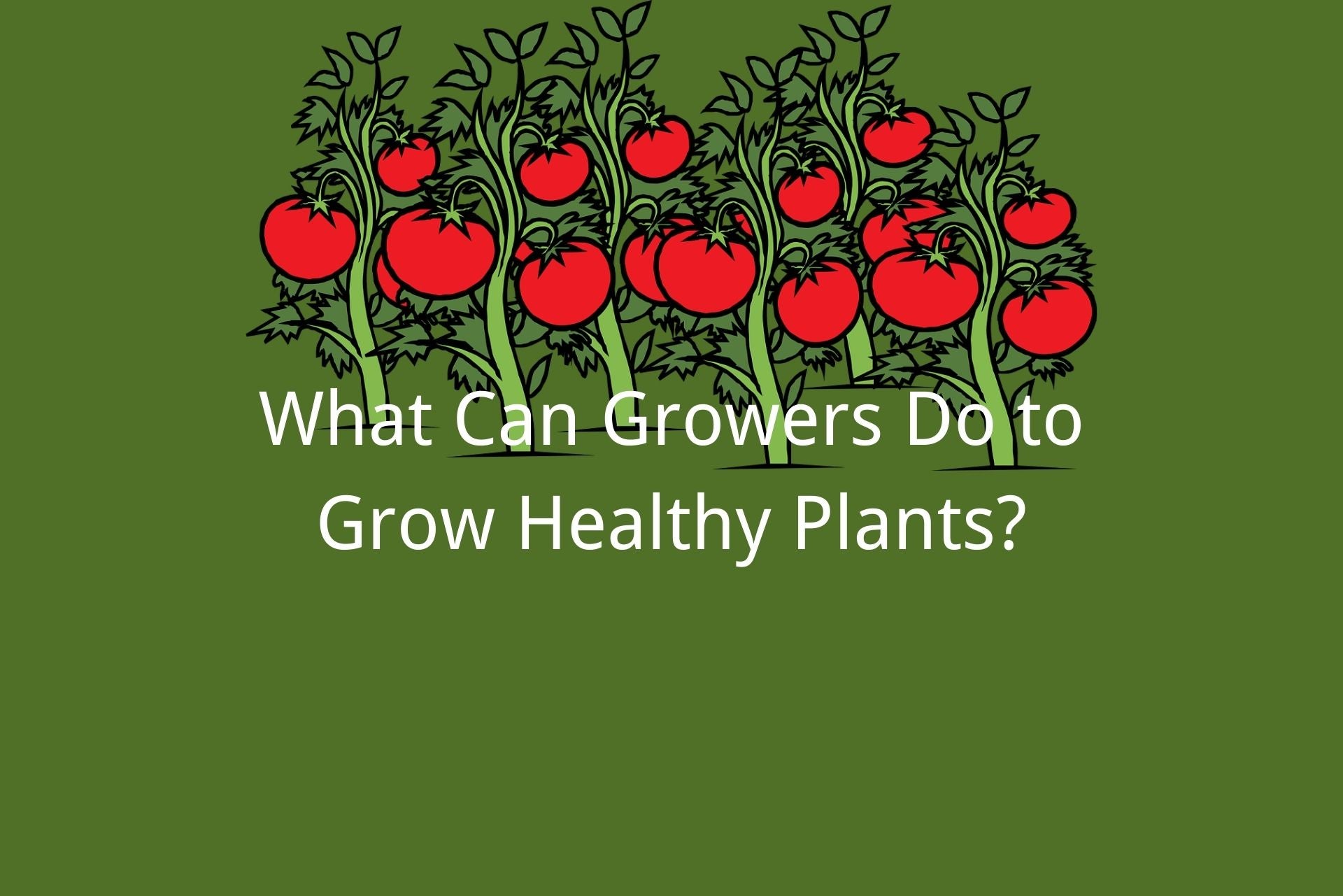 what can growers do to grow healthy plants
