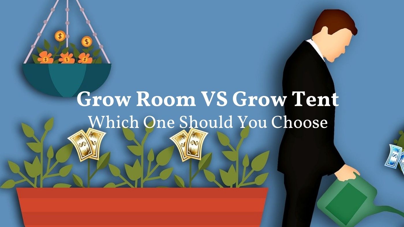 grow room vs grow tent