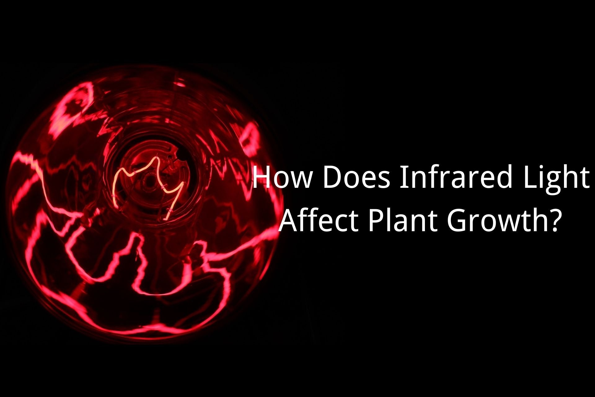 how does infrared light affect plant growth