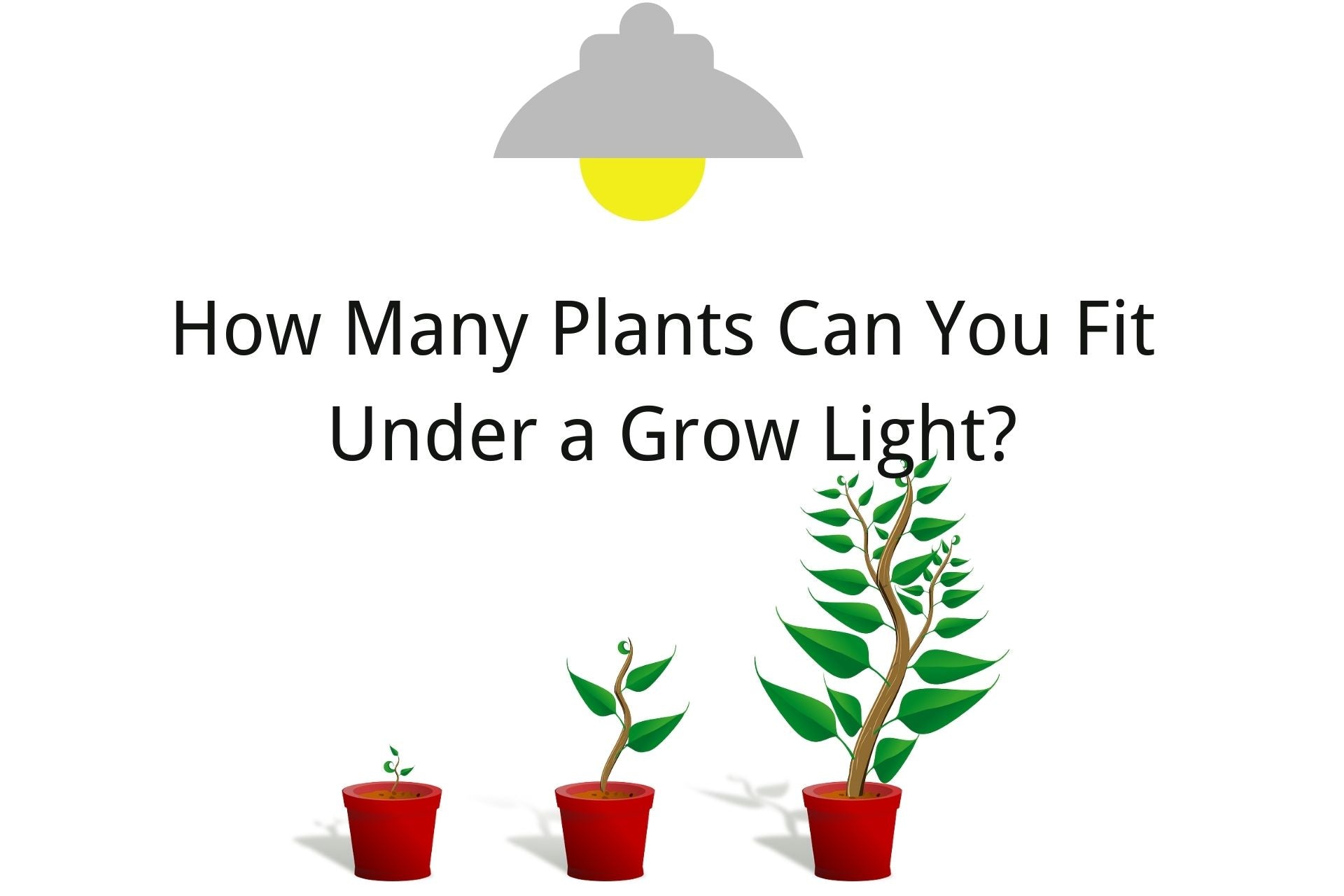 how many plants can you fit under a grow light