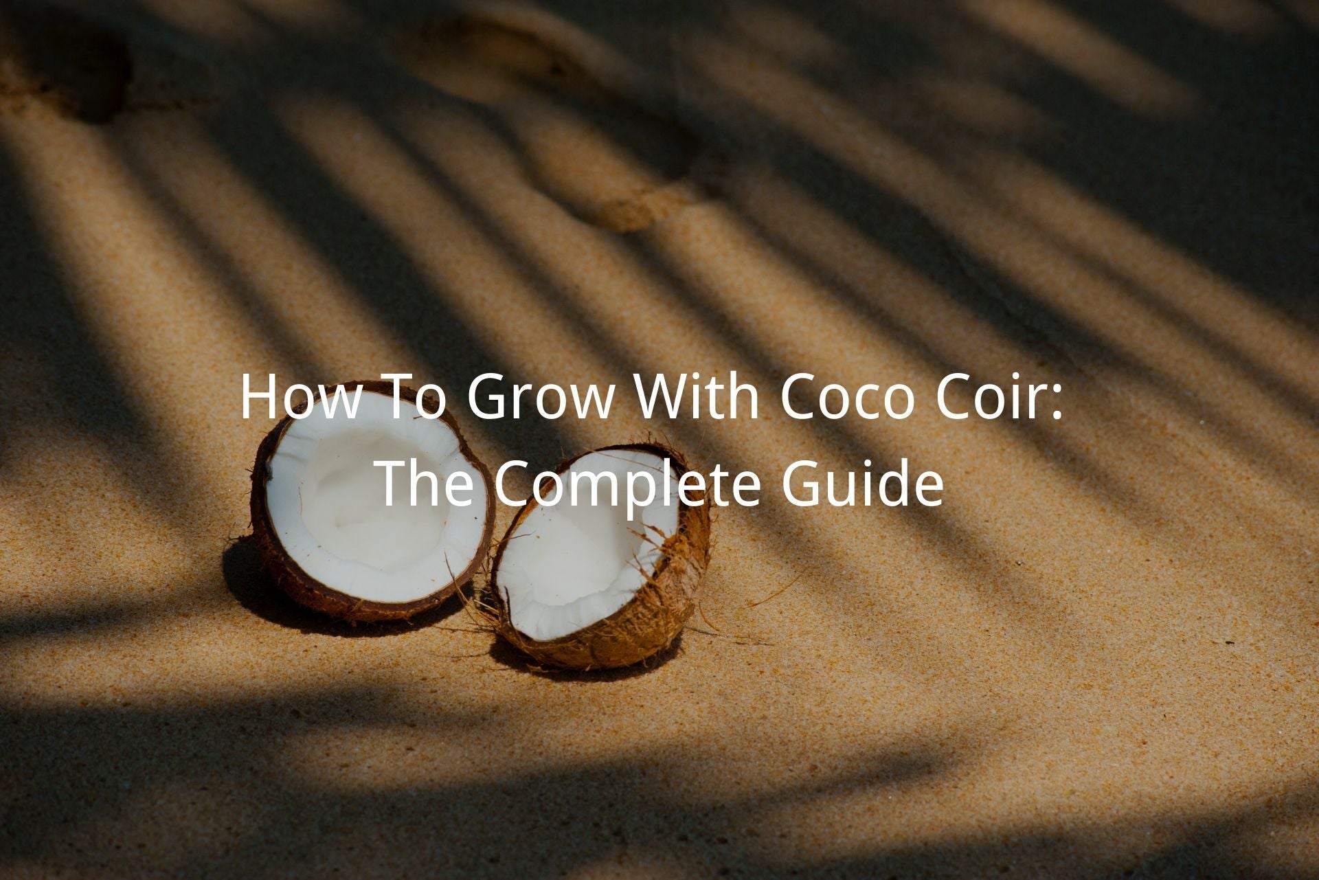 Learn How to Use Coconut Coir Products in the Garden