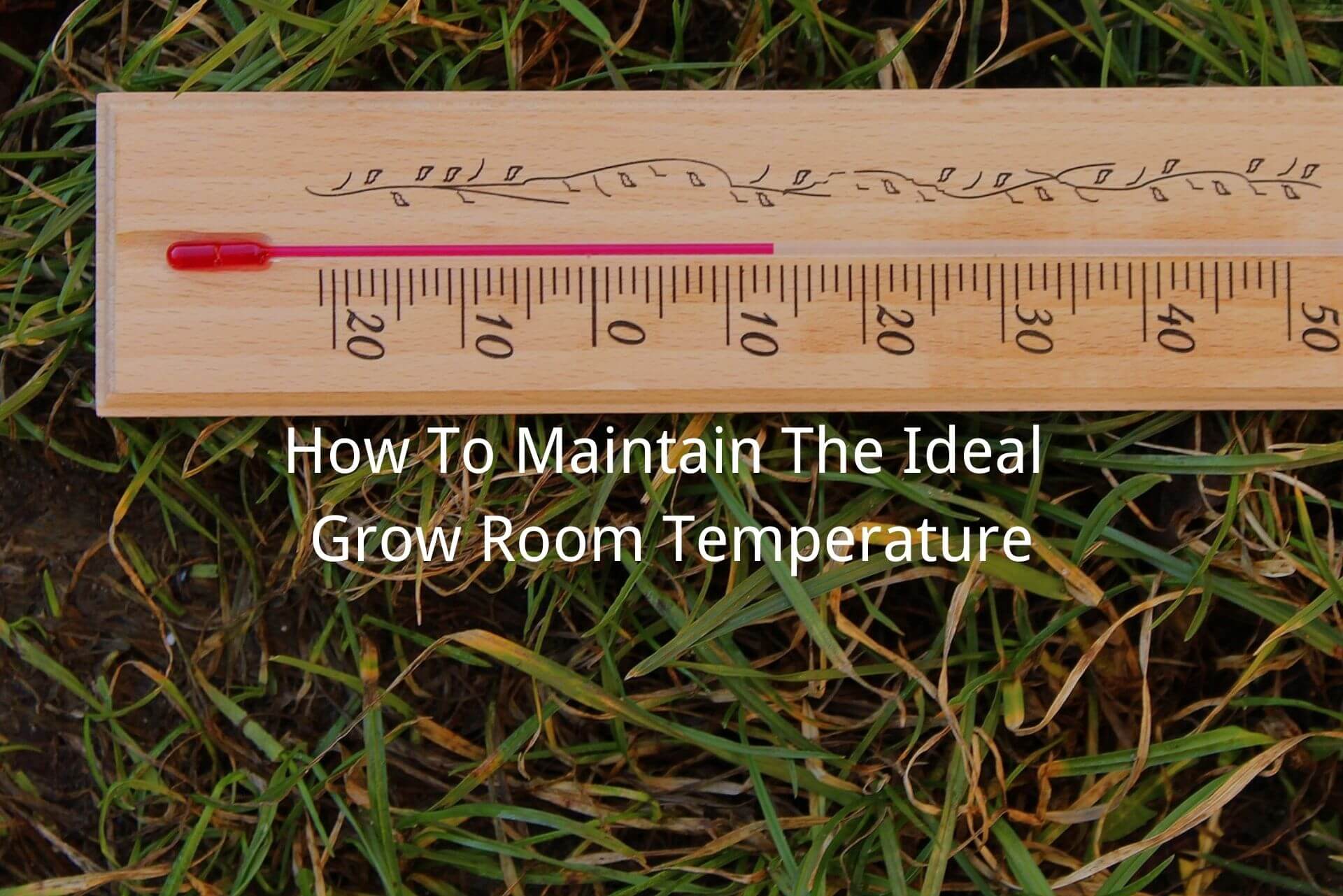 maintain the ideal grow room temperature