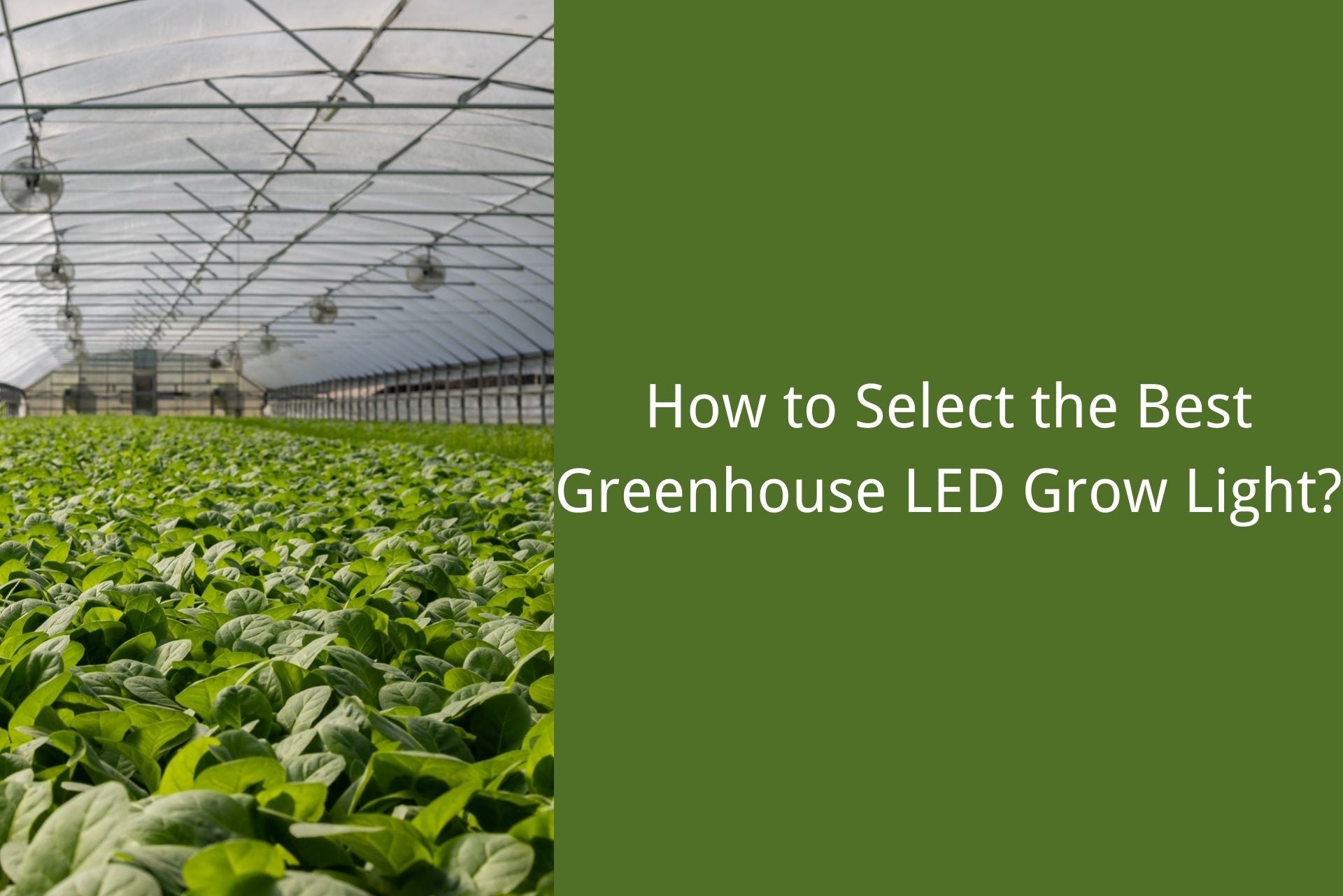 select the best greenhouse led grow light