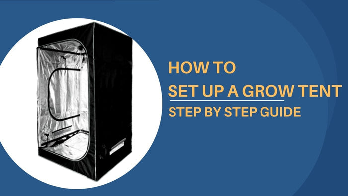 How to Set Up a Grow Tent: Step by Step Guide