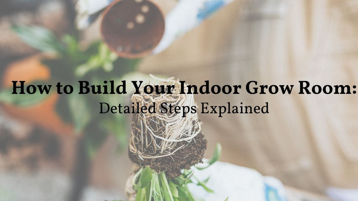 build your indoor grow room