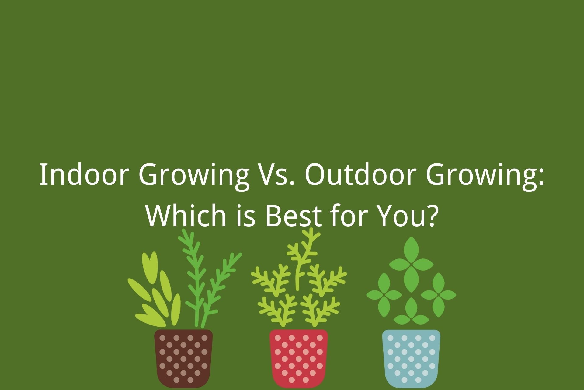 indoor growing vs outdoor growing