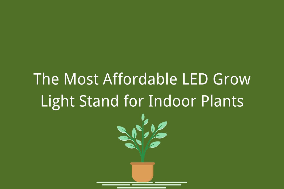 LED Grow Light Stand for Indoor Plants What You Should Know Medicgrow