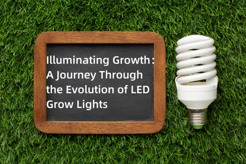 Illuminating Growth: A Journey Through the Evolution of LED Grow Lights