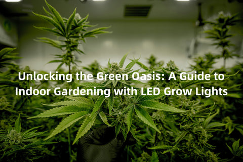 Unlocking the Green Oasis: A Guide to Indoor Gardening with LED Grow Lights