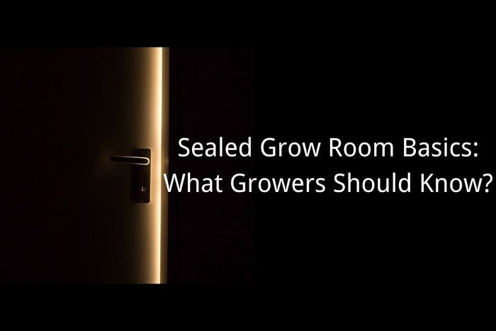 Sealed Grow Room Basics: What Growers Should Know?