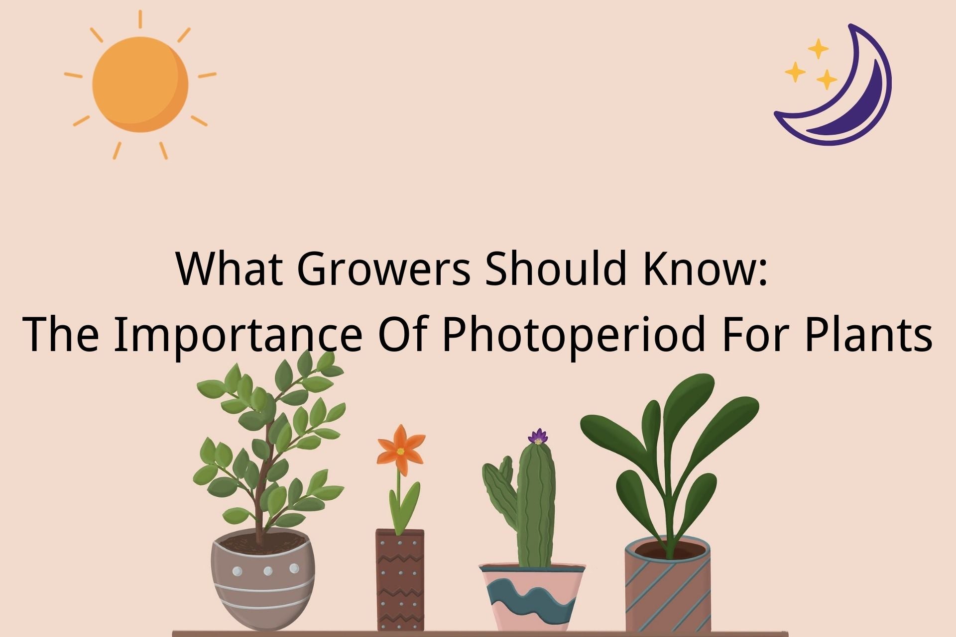 The Importance Of Photoperiod For Plants