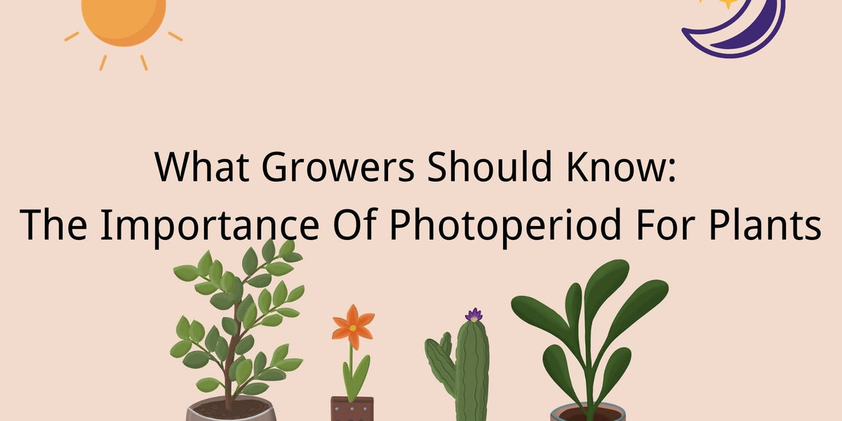 How to Manage Photoperiod For Plants and Maximize Your Yield Medicgrow
