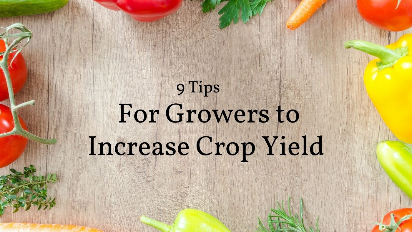 tips for growers to increase crop yield