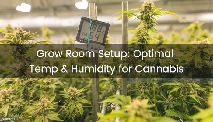 what humidity level is optimal for indoor cannabis growing