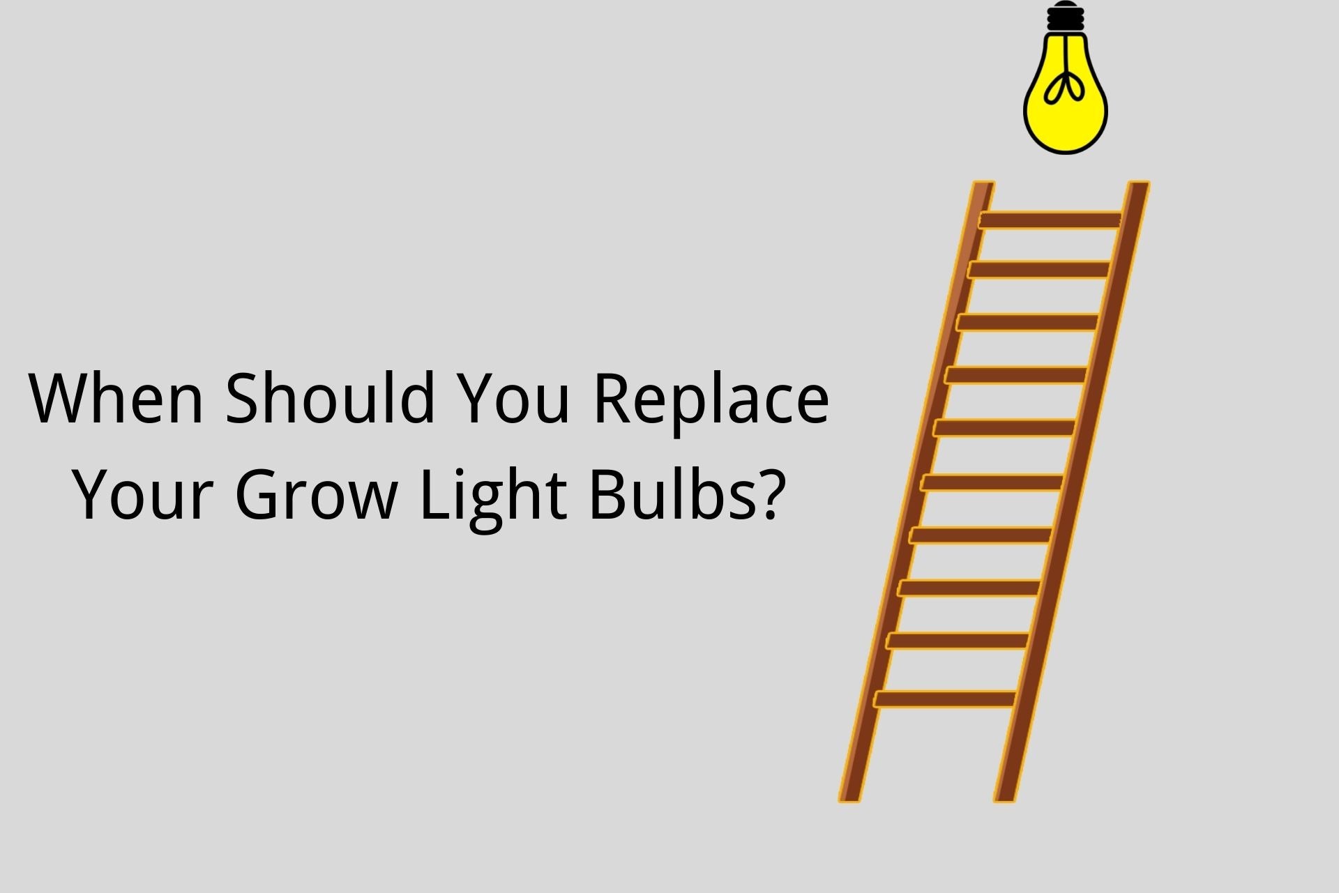 when should you replace your grow light bulbs