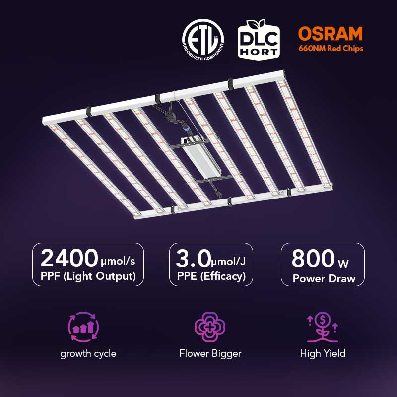 Đèn trồng cây quang phổ đầy đủ LED Medic Grow Fold-800 800w cho cây trồng 4x4 được chứng nhận ETL &amp; DLC 