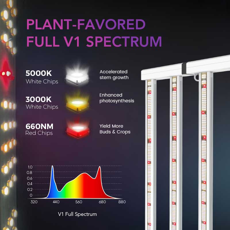 Medic Grow Fold-800 Full-Spectrum LED Grow Light 800w for 4x4 Planting ETL & DLC Certified