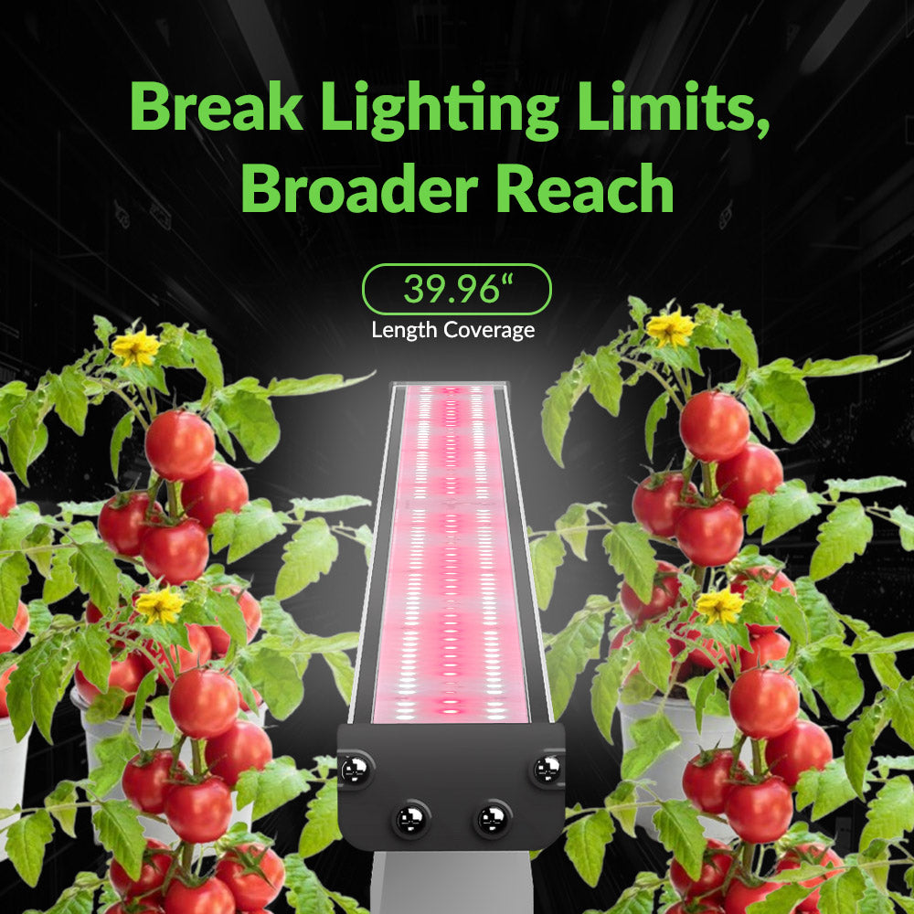 Medic Grow Hell-Fire 120W Full-Spectrum Under-Canopy LED Grow Light