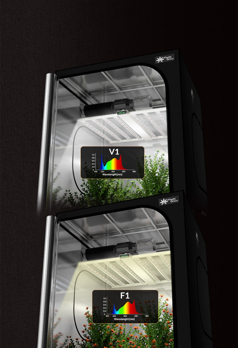 ADJUSTABLE V1 SPECTRUM AND F1 SPECTRUM