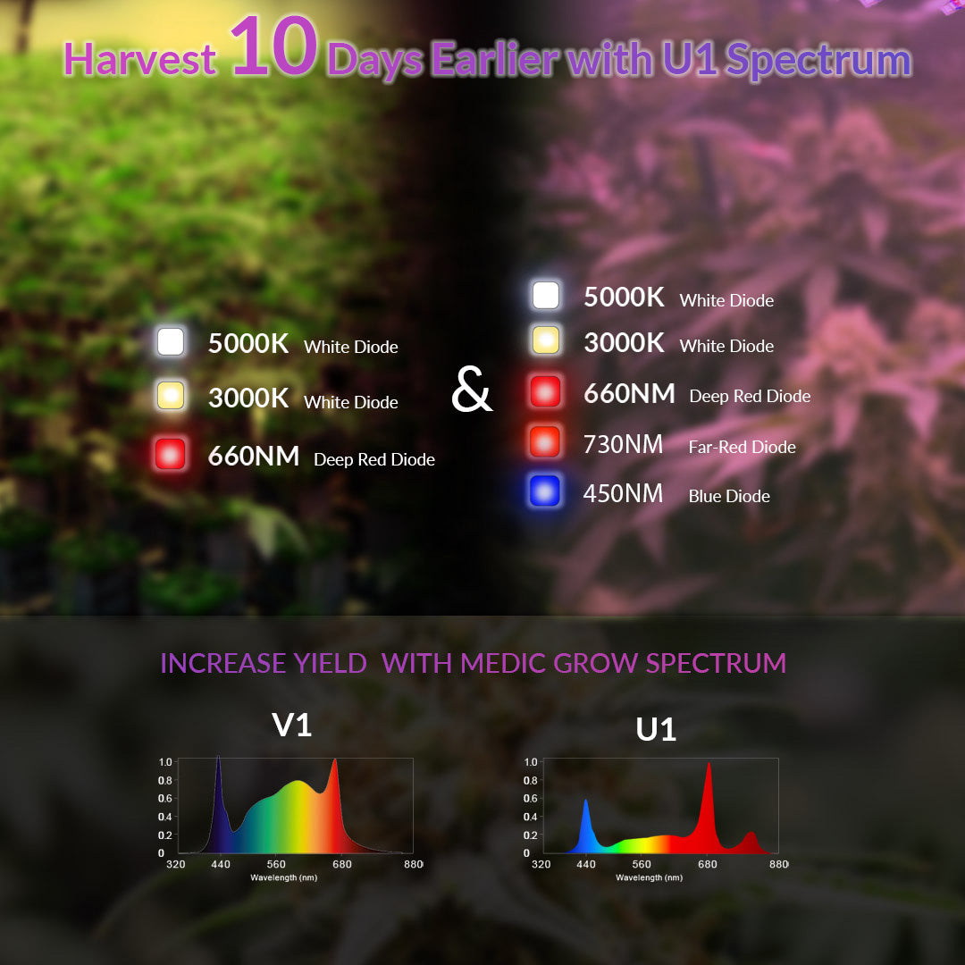 Medic Grow Fold 1200 瓦商用红蓝全光谱 LED 生长灯 ETL 和 DLC 认证