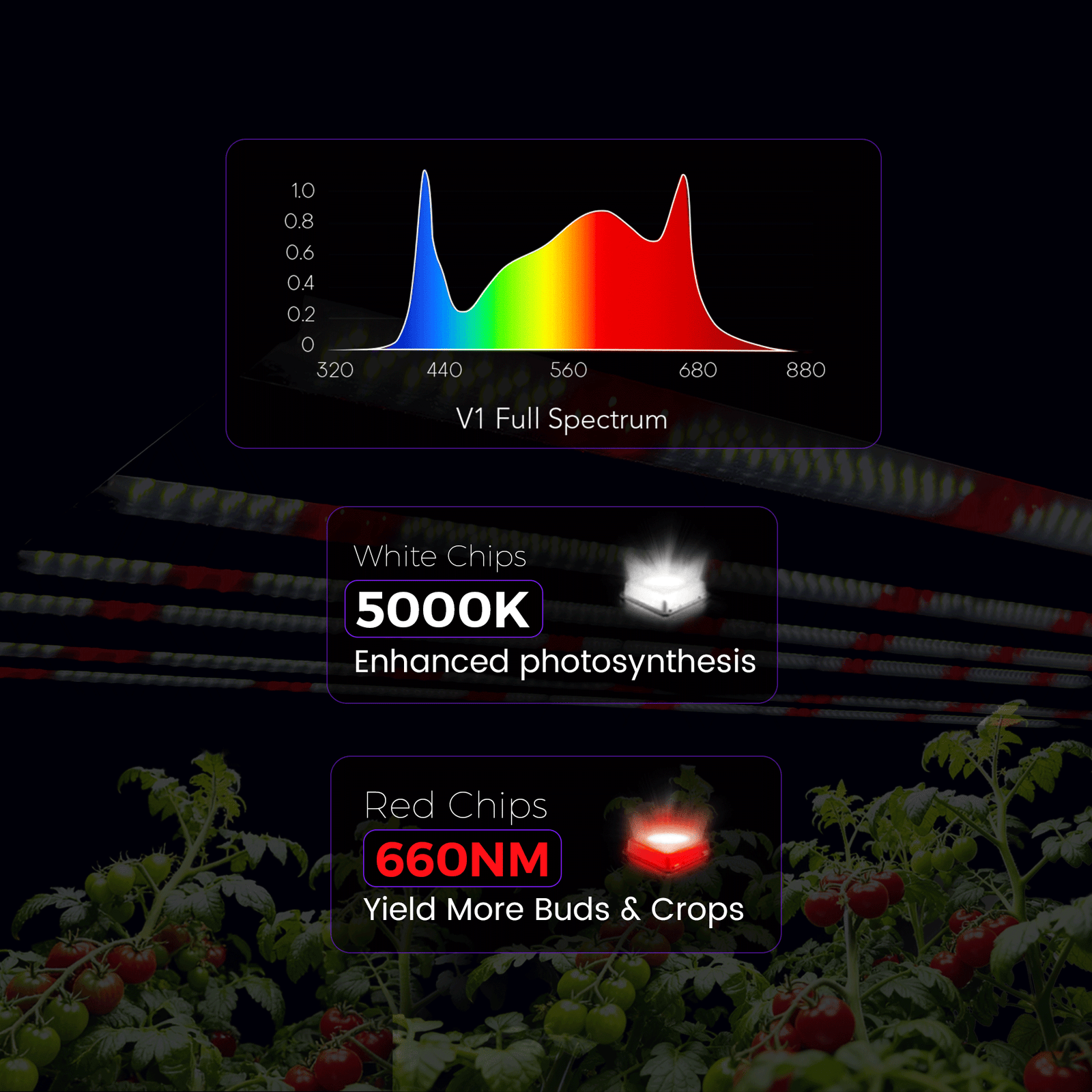 Medic Grow MEDIC BOX 07 Dimmable Full-Spectrum LED Grow Light 720w for 4x4 Planting