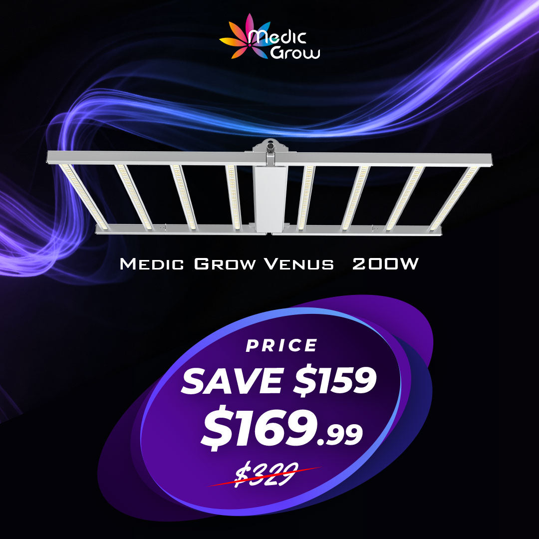 Medic Grow Venus Full Spectrum Cost-Effective 200W LED Grow Light for Vegetative and Beginner: 2X4FT