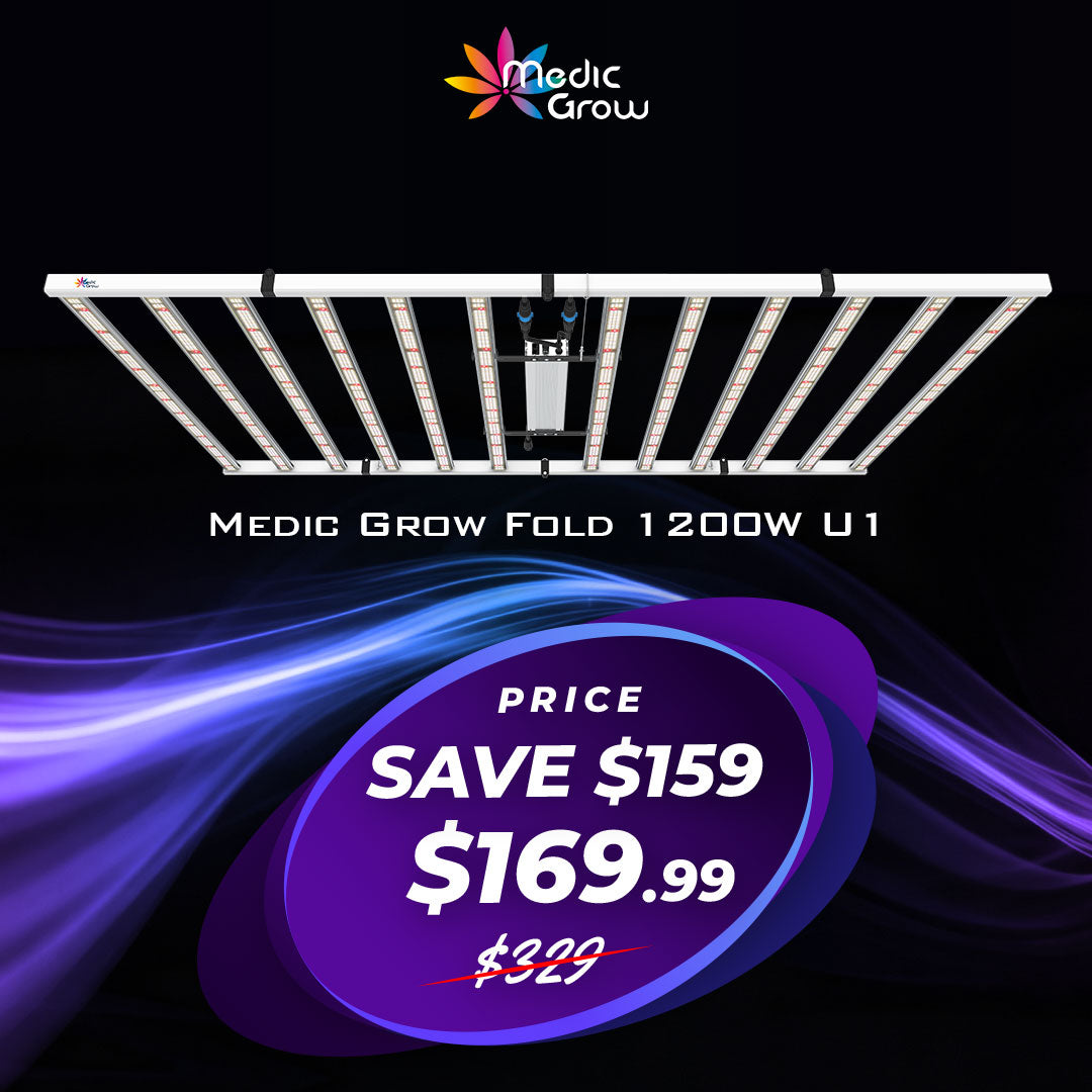 Đèn trồng cây LED quang phổ đầy đủ màu đỏ và xanh thương mại Medic Grow Fold 1200 Watt được chứng nhận ETL &amp; DLC