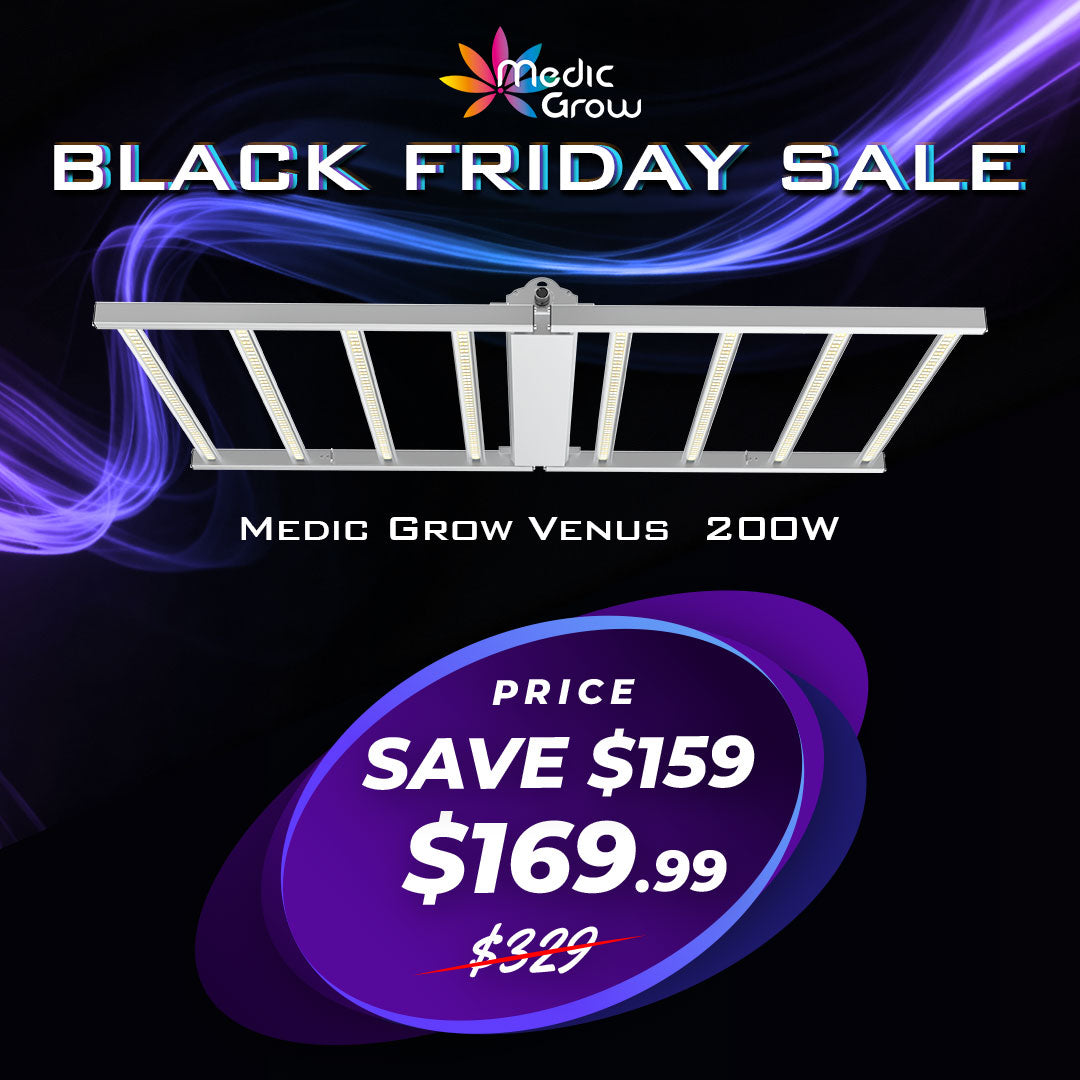 Medic Grow Venus 全光谱经济型 200W LED 生长灯，适合植物和初学者：2X4FT