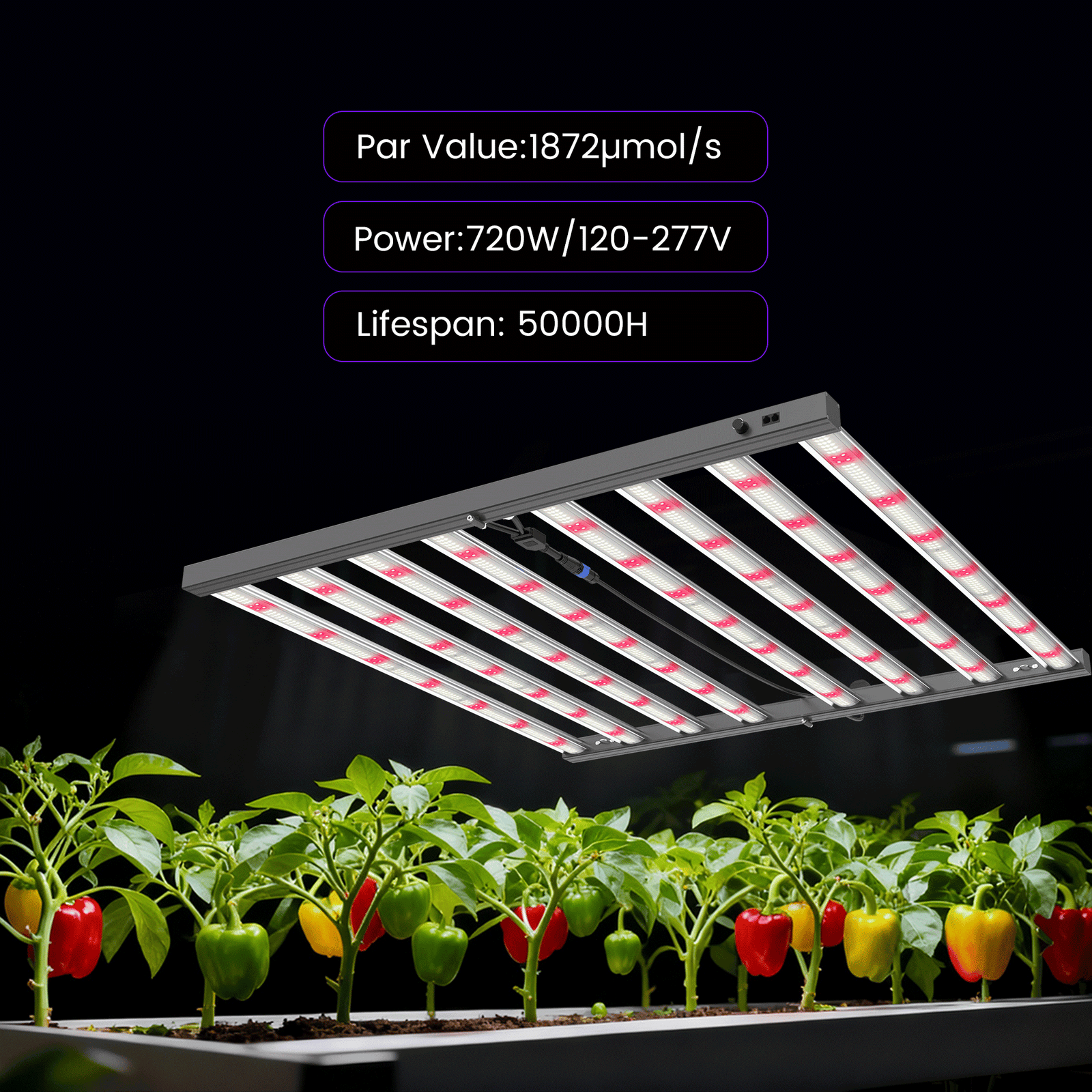 Medic Grow MEDIC BOX 07 Dimmable Full-Spectrum LED Grow Light 720w for 4x4 Planting