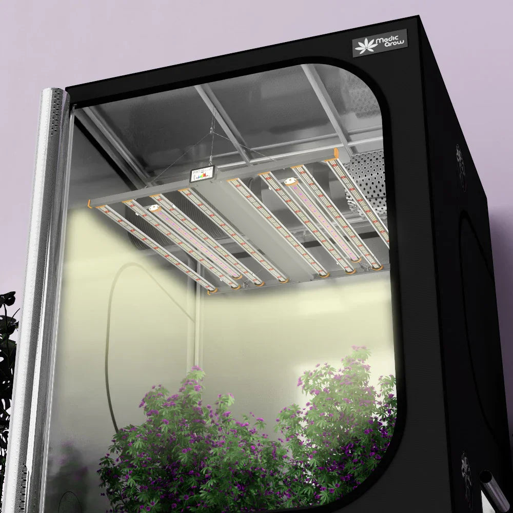Spectrum-X EU 880W | 150x150x200