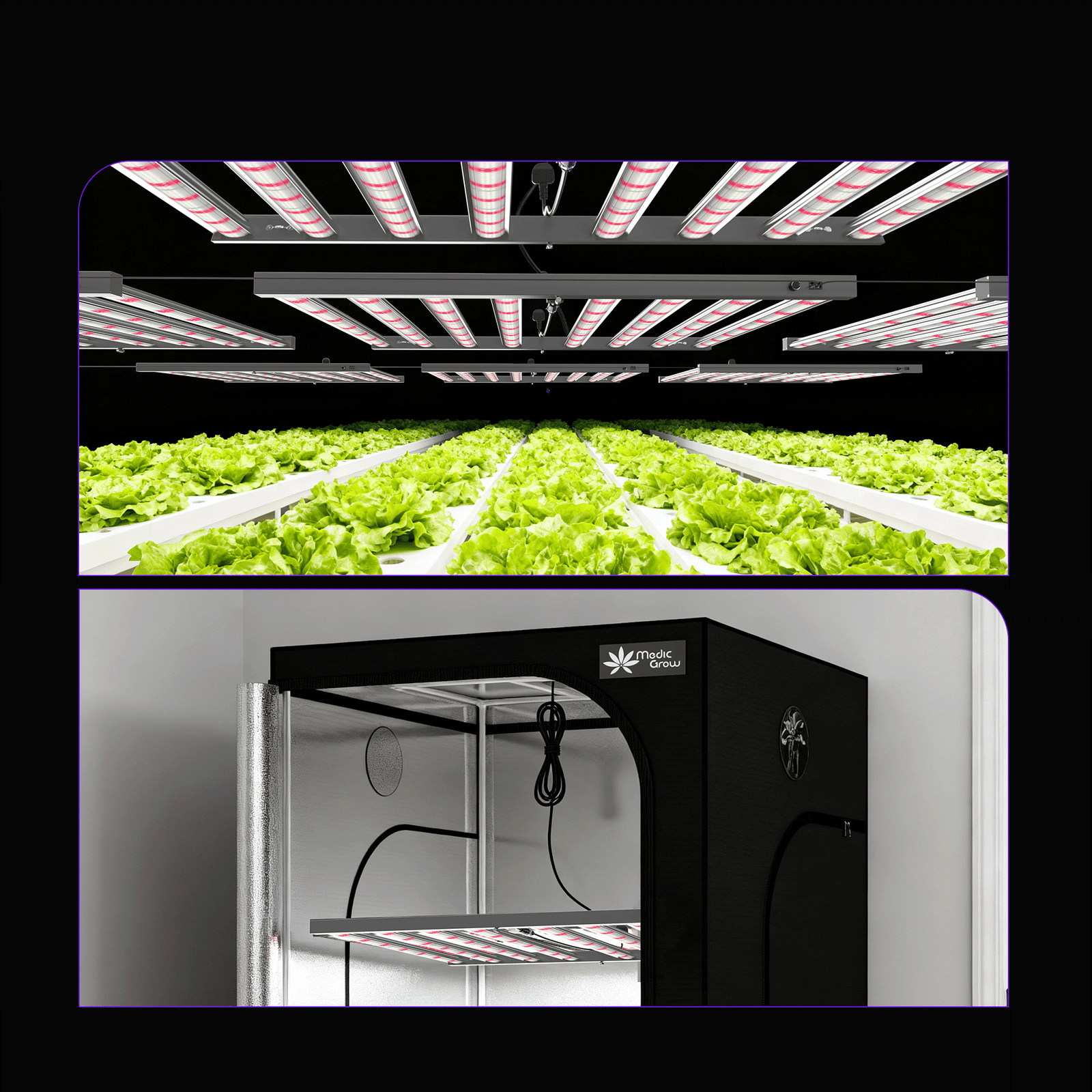 Medic Grow MEDIC BOX 07 Dimmable Full-Spectrum LED Grow Light 720w for 4x4 Planting