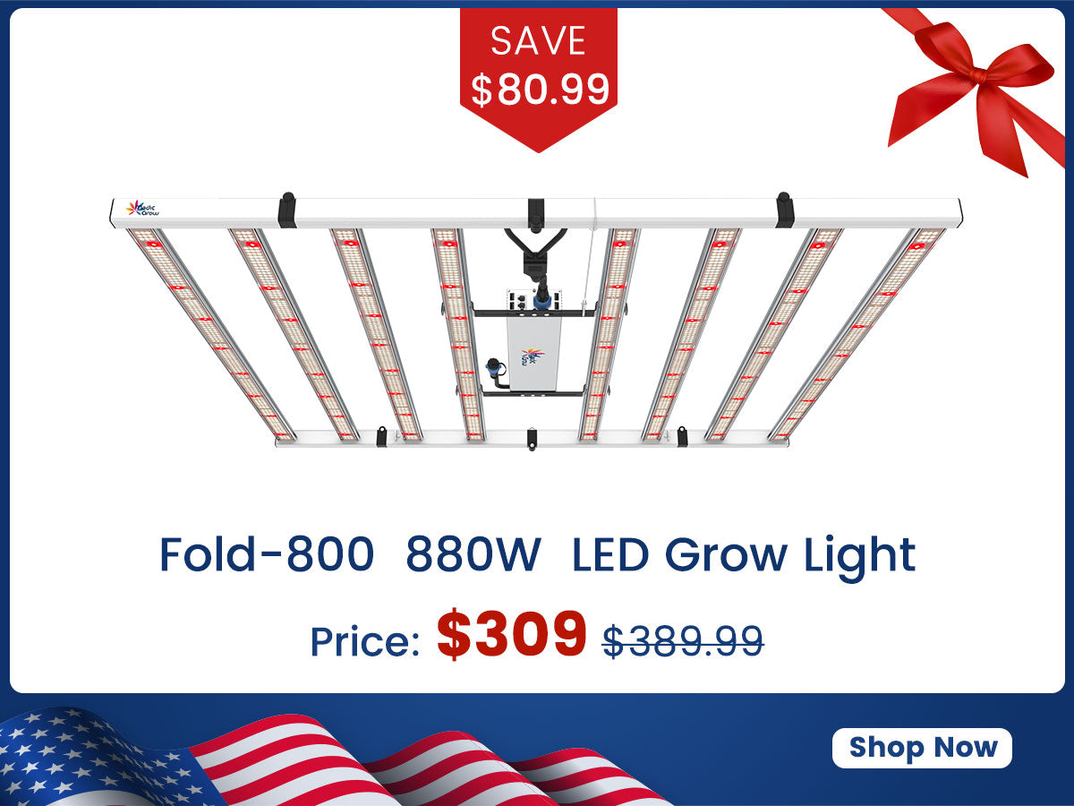 Đèn trồng cây quang phổ đầy đủ LED Medic Grow Fold-800 800w cho cây trồng 4x4 được chứng nhận ETL &amp; DLC 