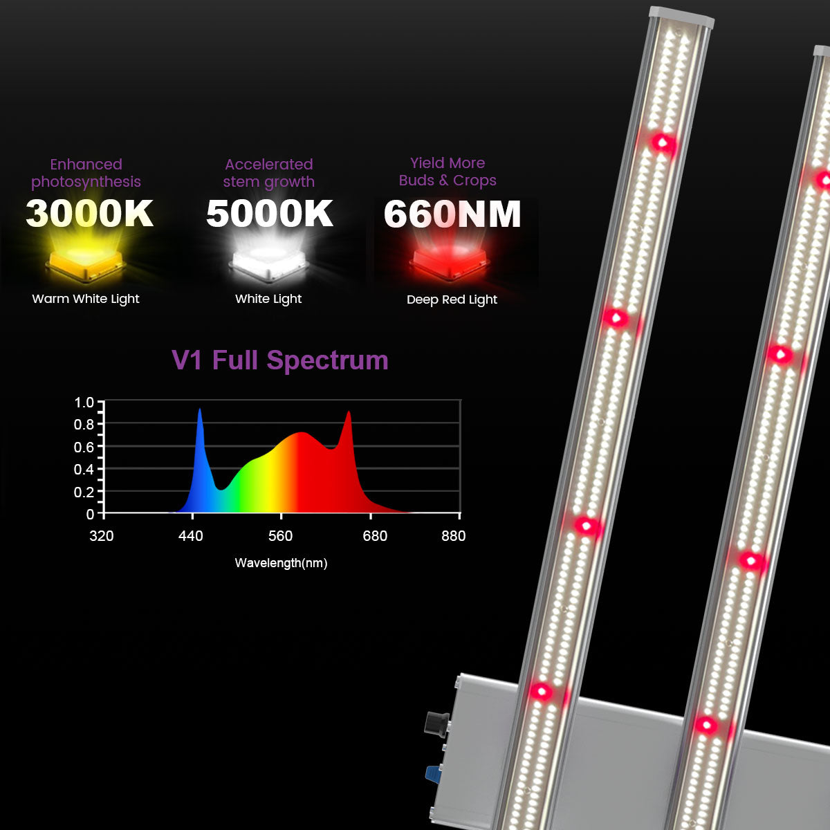 Medic Grow Ez-8 Smart Dimmable Full Spectrum 1000 Watt LED Grow Light for 5X5 Planting - Medic Grow US