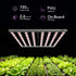 Medic Grow Flex-800/800 PRO Faltbares V1/U1-Full-Spektrum-LED-Grow Lampe für Zimmerpflanzen – 800-W-LED-Grow Lampe für 120 x 120 cm Grow Zelt