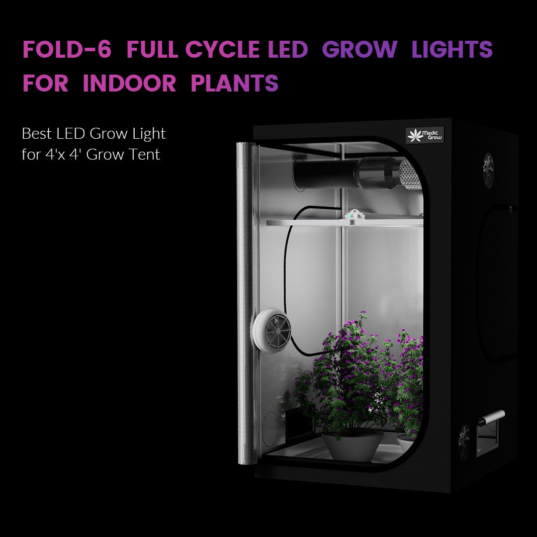 Medic Grow Fold-6 660W Cost-Effective Full-Spectrum LED Grow Light - High Yield 4x4 indoor Lamp