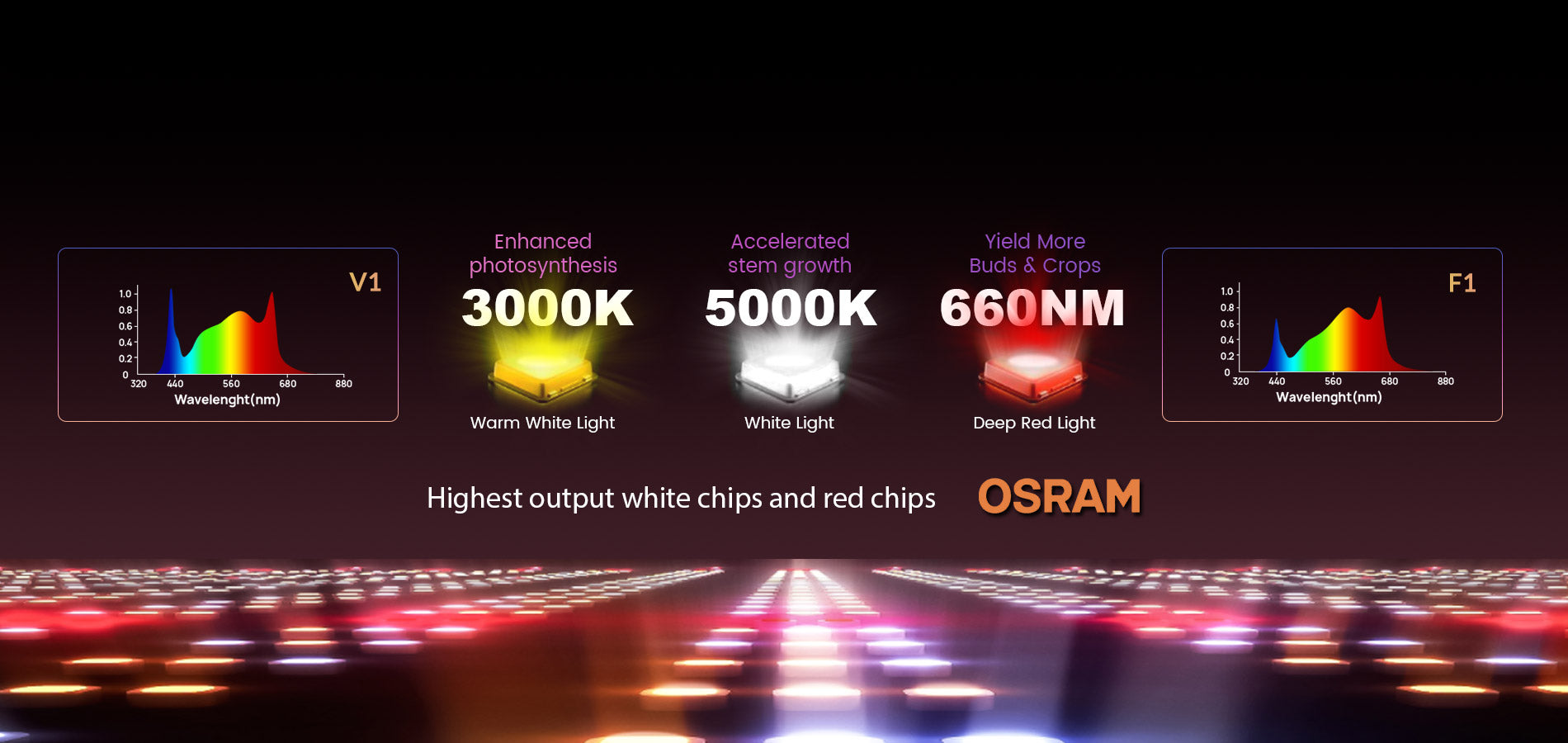 OPTIMIZED FULL SPECTRUM