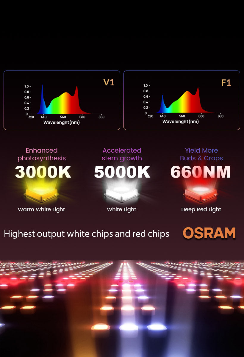 OPTIMIZED FULL SPECTRUM