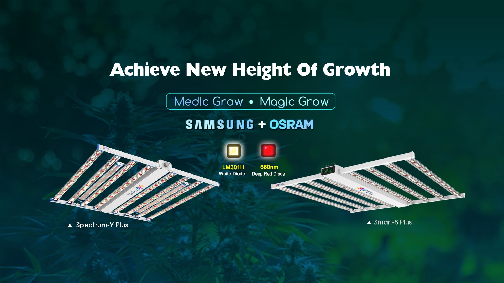 https://medicgrow.com/cdn/shop/files/Medic_Grow_Samsung_OSRAN_LED_Grow_Light_1920x1080_crop_center.jpg?v=1679302705