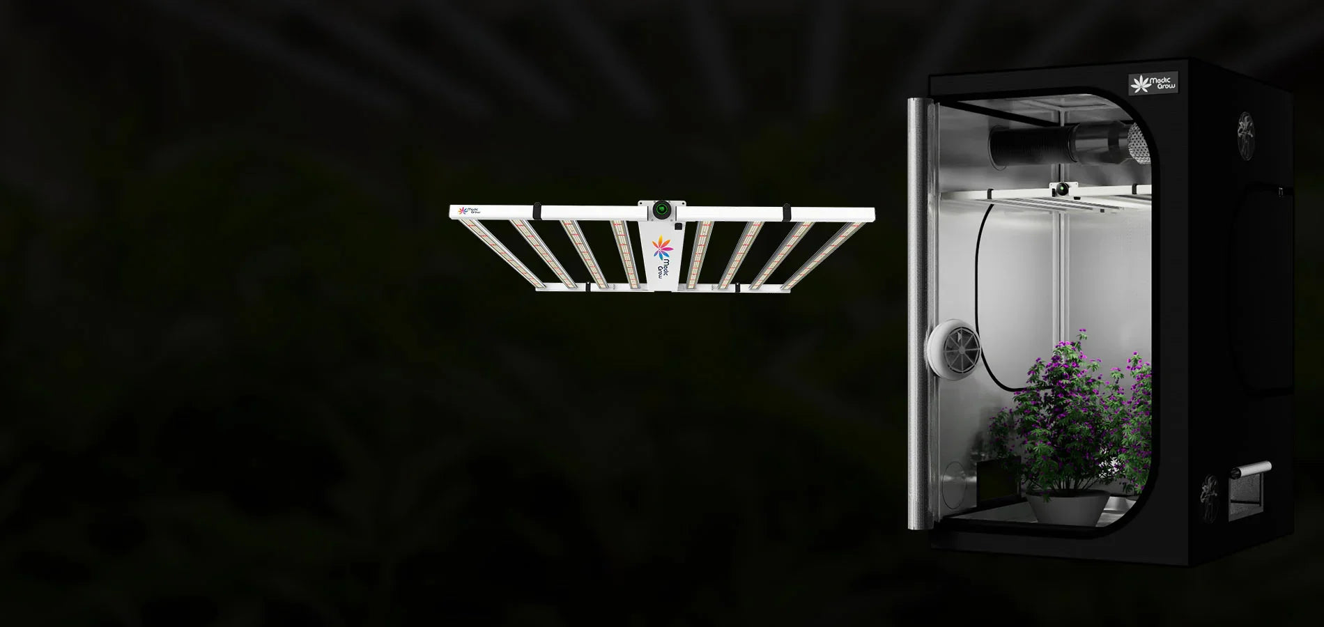 growbox