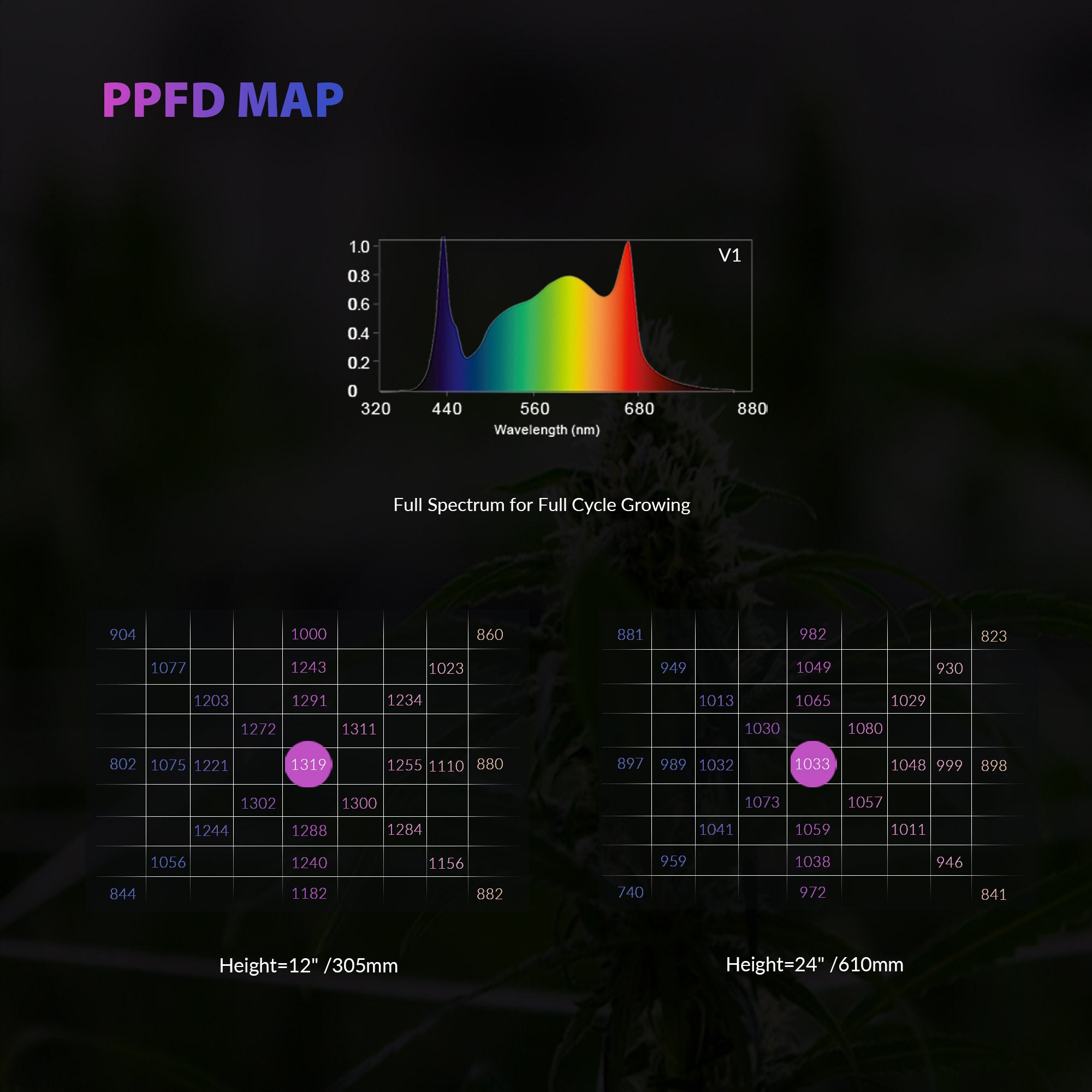 ppfd chart