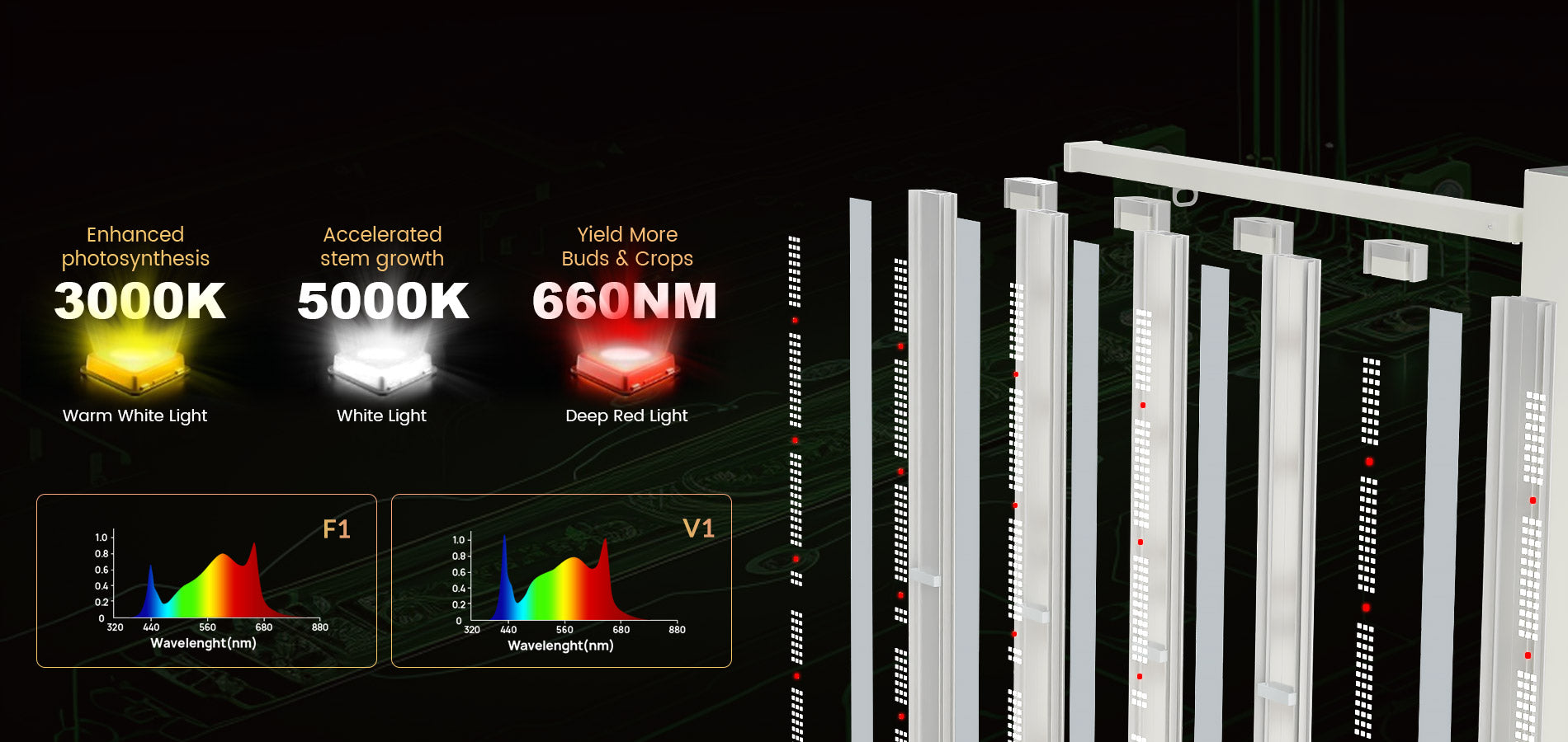 OPTIMIZED  FULL  SPECTRUM