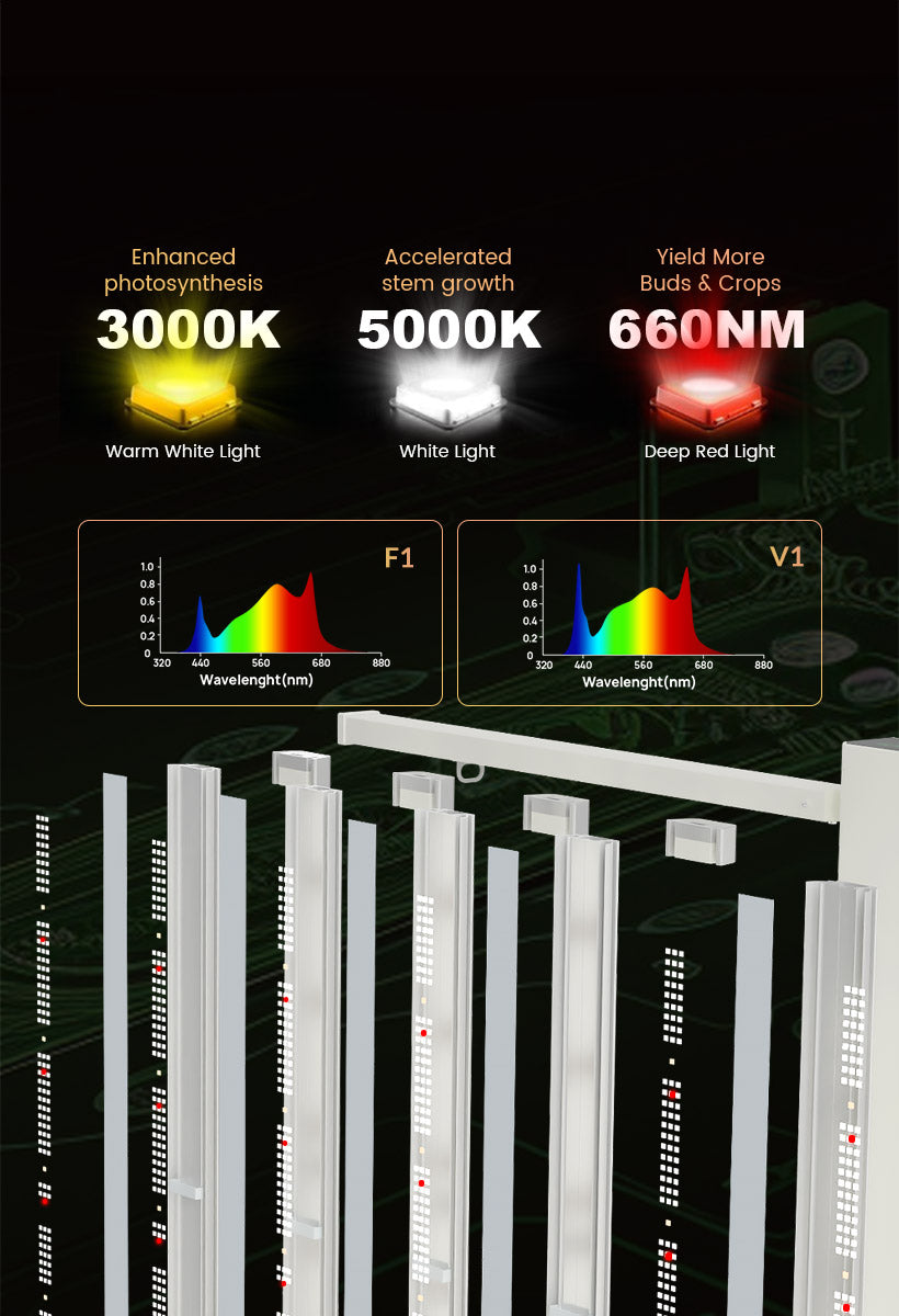 OPTIMIZED  FULL  SPECTRUM