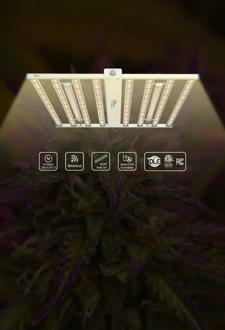 LED Grow Lights | Best Grow Lights for Indoor Plants - Medicgrow ...