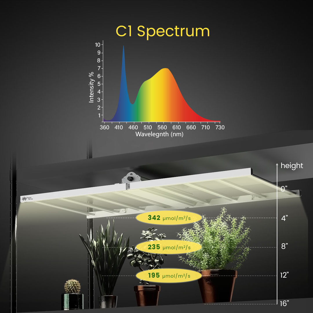 Medic Grow Venus Full Spectrum Cost-Effective 200W LED Grow Light for Vegetative and Beginner: 2X4FT